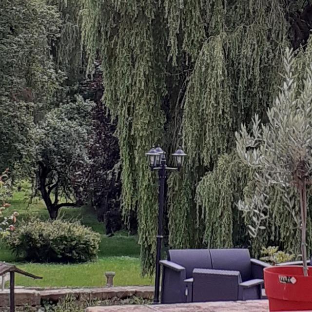 Le Domaine D'Elise Chambres Et Table D'Hotes - Vosges Saint-Ouen-les-Parey Eksteriør bilde