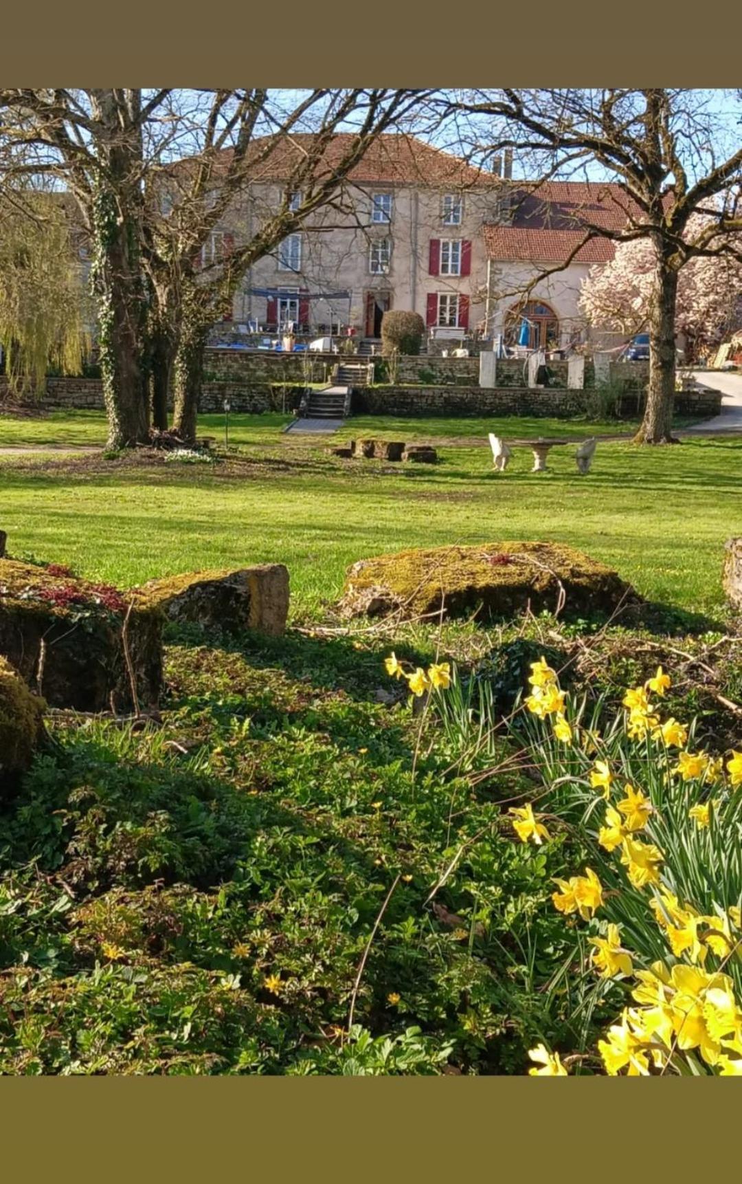 Le Domaine D'Elise Chambres Et Table D'Hotes - Vosges Saint-Ouen-les-Parey Eksteriør bilde