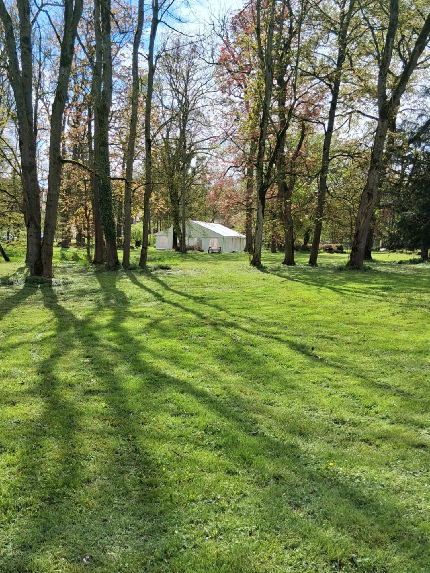 Le Domaine D'Elise Chambres Et Table D'Hotes - Vosges Saint-Ouen-les-Parey Eksteriør bilde